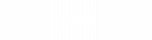 Logo der Partnermarke Cosmo